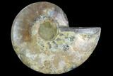Agatized Ammonite Fossil (Half) - Madagascar #125062-1